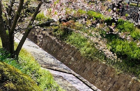 兵庫トヨタ自動車株式会社