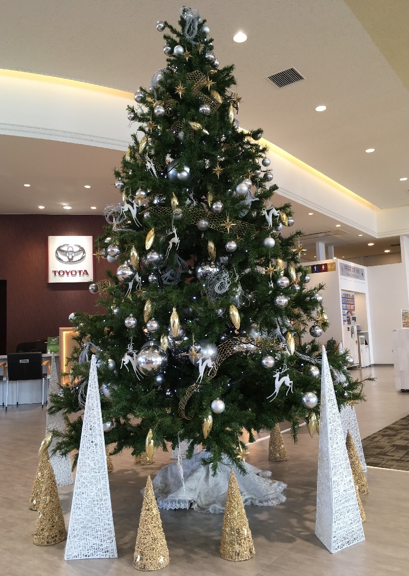 加古川店に大きなクリスマスツリーが登場しました