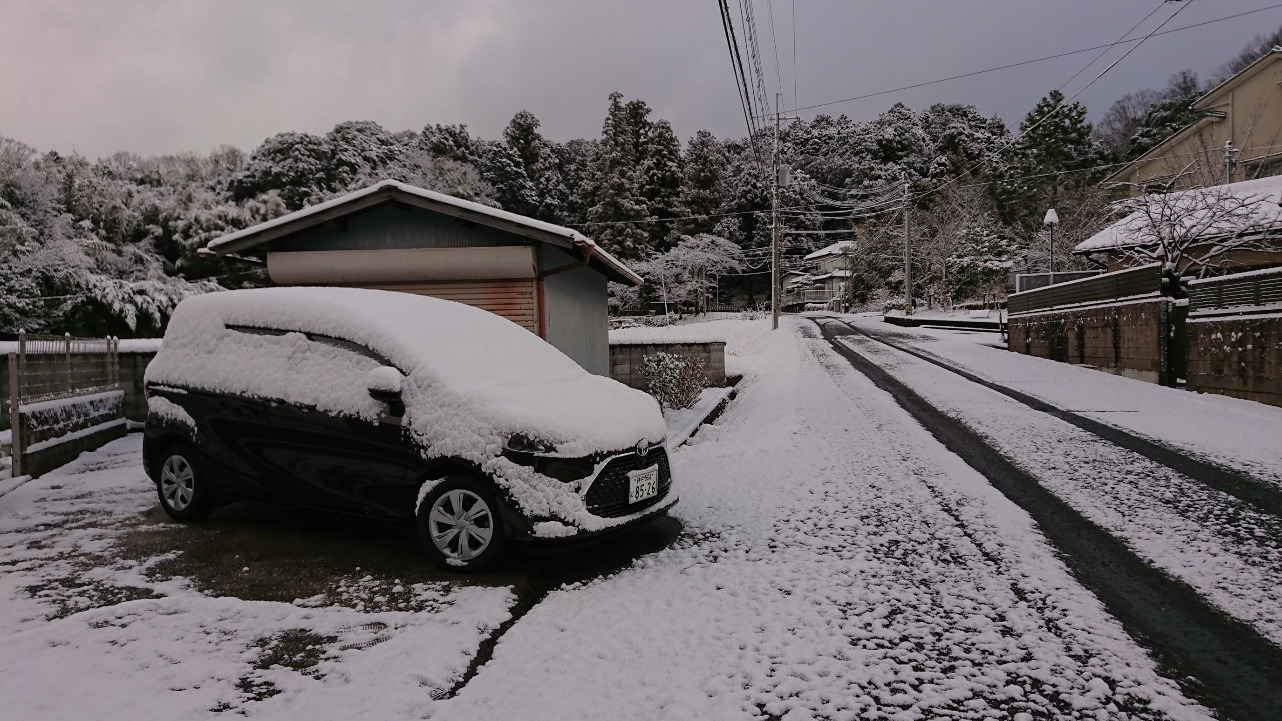 雪やこんこん