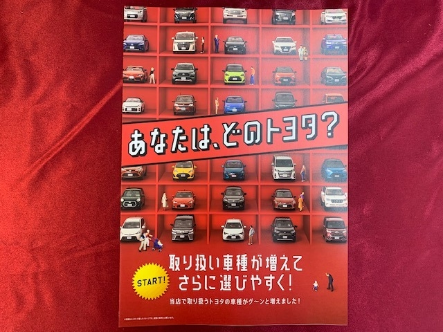 🚗カーラインナップ増加！✨