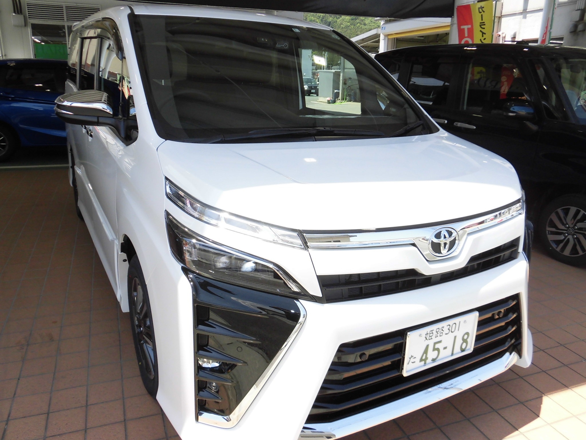 Voxy試乗できます