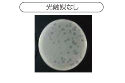 光なし