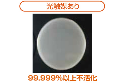 光あり