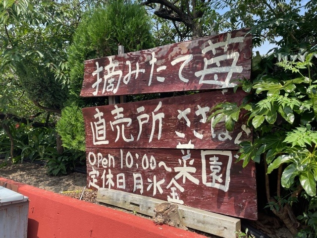 尼崎育ちの苺のかき氷