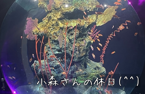 三宮店 ブログ一覧 兵庫トヨタ自動車株式会社 トヨタ自動車WEBサイト