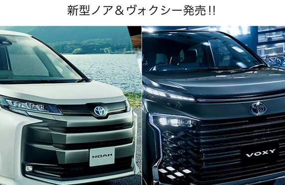 甲南店  兵庫トヨタ  兵庫トヨタ自動車株式会社