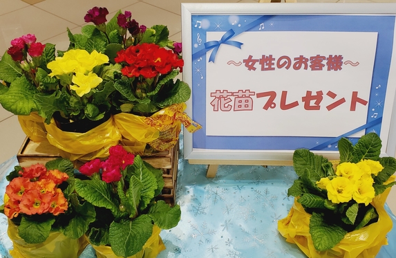 太子店  兵庫トヨタ  兵庫トヨタ自動車株式会社