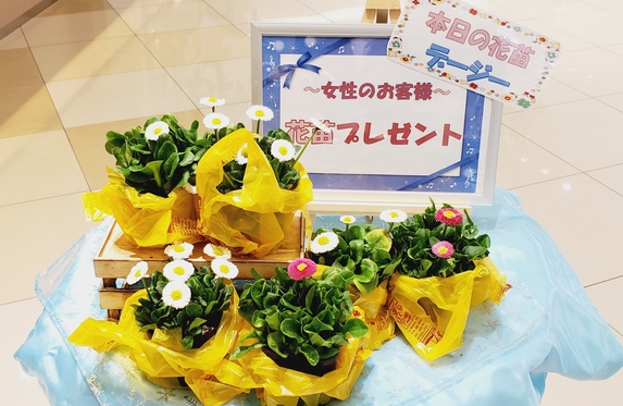 太子店  兵庫トヨタ  兵庫トヨタ自動車株式会社