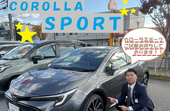 \カローラ紹介ブログ総選挙/　カローラスポーツ