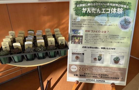 ☆多肉植物植替え体験イベント開催いたします！