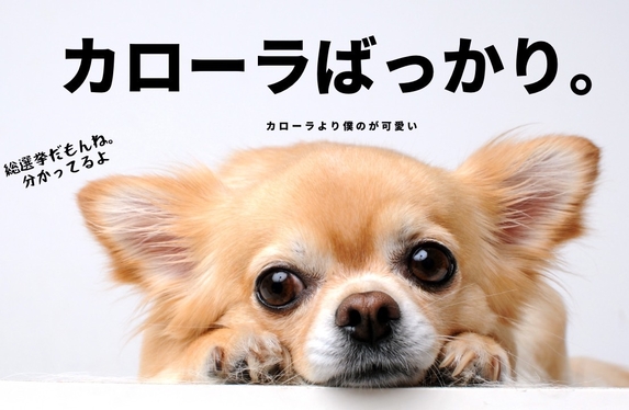 🚗初代のカローラってどんなの？？🚗