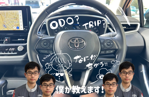 🚗カローラセダンで見た！これってなあに？🚗