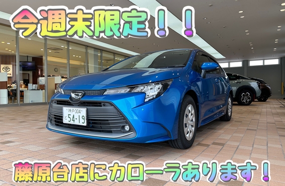 💛藤原台店にカローラの試乗車がやってきた💛