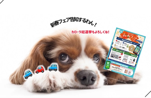 ✨新春フェアのお知らせとCOROLLA総選挙のお知らせ✨