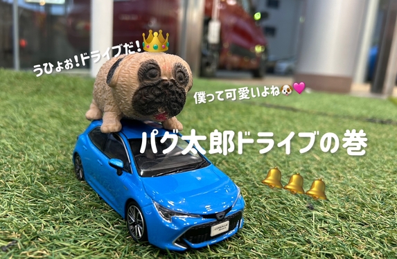 🚙パグ太郎カローラスポーツでベルマーク集めたよ🐶🚙