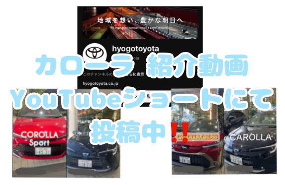 【ご検討中のお客様必見👀】カローラシリーズ紹介動画🚙