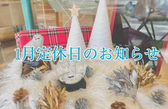 1月定休日のご案内⛄