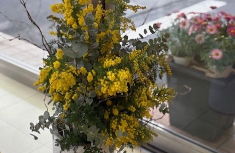 ✨春のお花　ミモザ✨