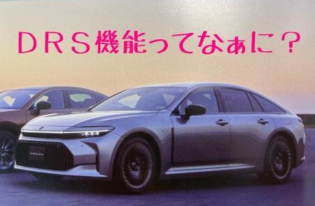 エステートの機能『DRS』とは？