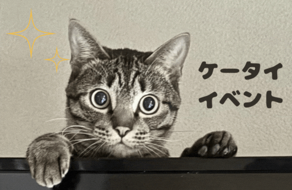 ケータイ料金見直し相談会開催します！✨