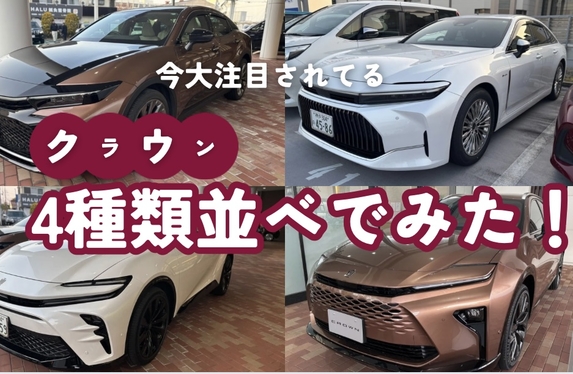 せっかくなので並べてみました👀