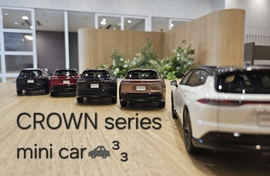 mini car も勢ぞろいでお出迎え♪