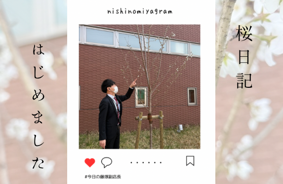 桜日記🌸　＃今日の藤塚副店長