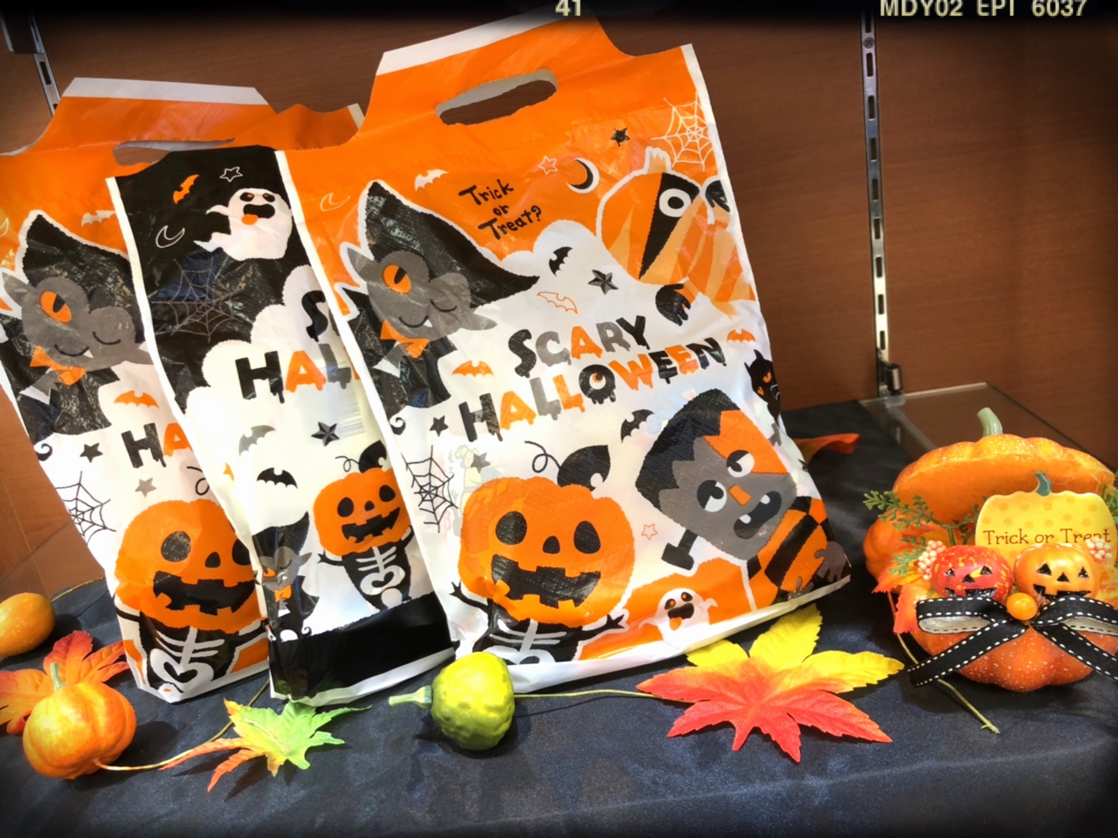 Halloween Halloween