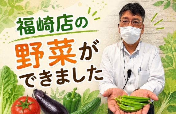 オイル缶で育てた野菜が大きくなりました🥬✨