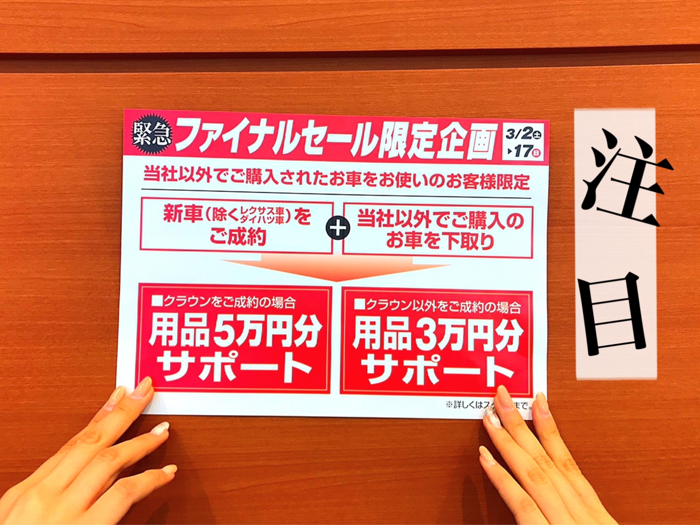 緊急 ファイナルセール限定企画