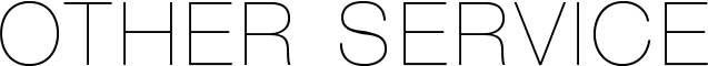 OTHER SERVICE