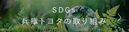 SDGs