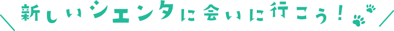 新しいシエンタに会いに行こう！