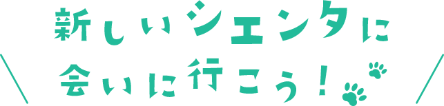 新しいシエンタに会いに行こう！