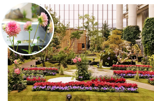 奇跡の星の植物館