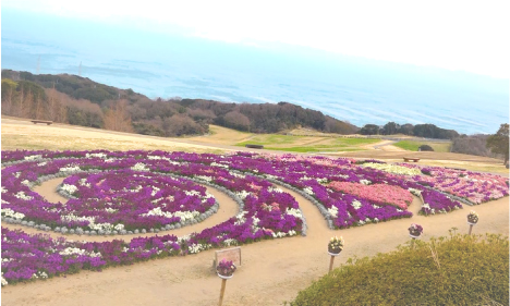 あわじ花さじき 