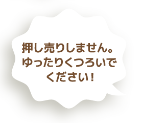 押し売りしません。ゆったりくつろいでください！